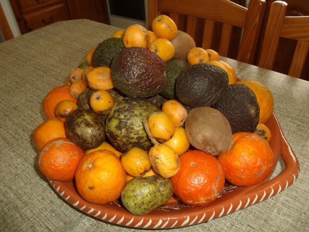 Tropical Fruit Garden Hotell Velas Eksteriør bilde
